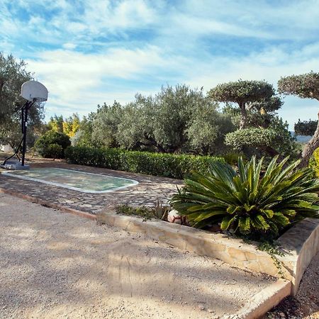 Finca Tierra Roja Cálig Dış mekan fotoğraf