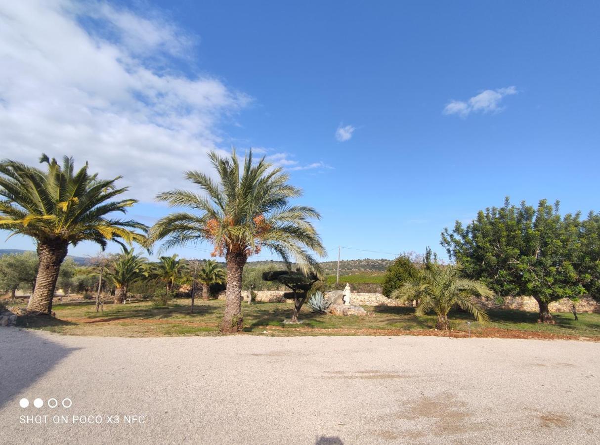 Finca Tierra Roja Cálig Dış mekan fotoğraf