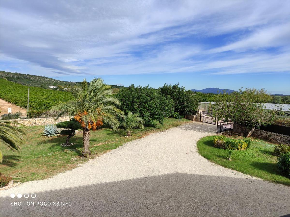 Finca Tierra Roja Cálig Dış mekan fotoğraf